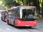 Norgesbuss 337, Stortingsgata - Linie 81B